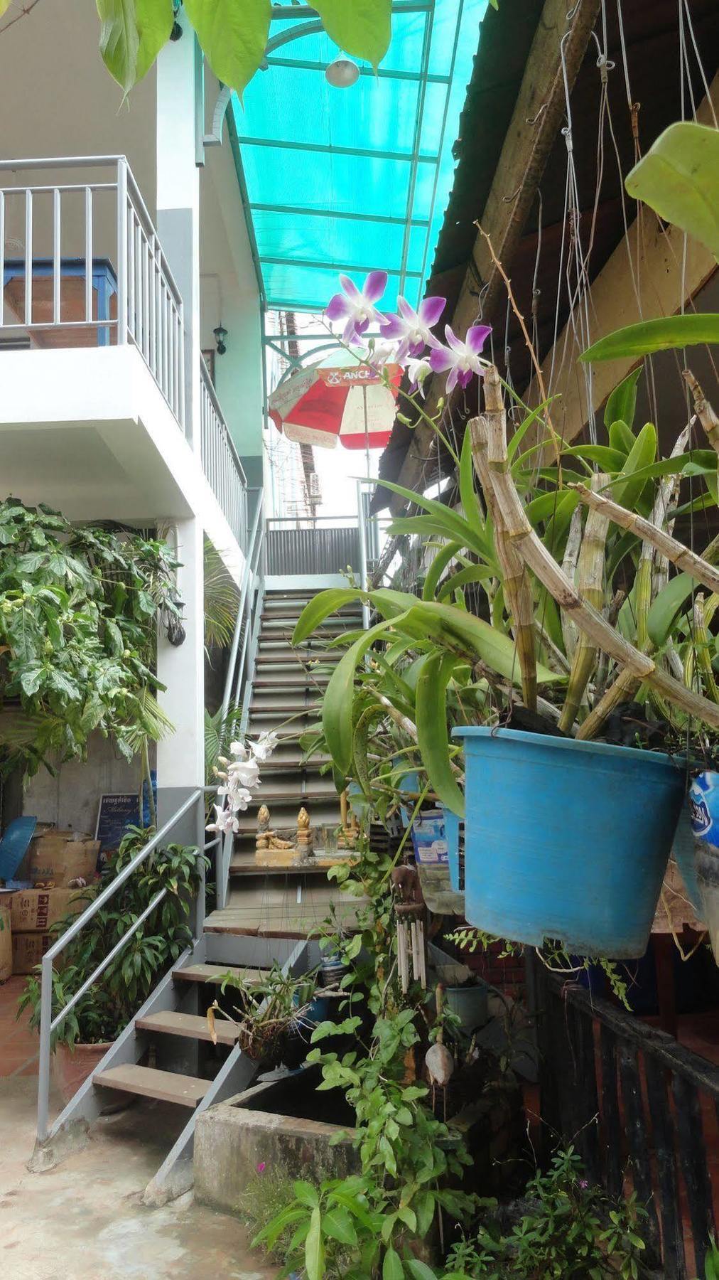 Green Park Village Guesthouse Siem Reap Bagian luar foto